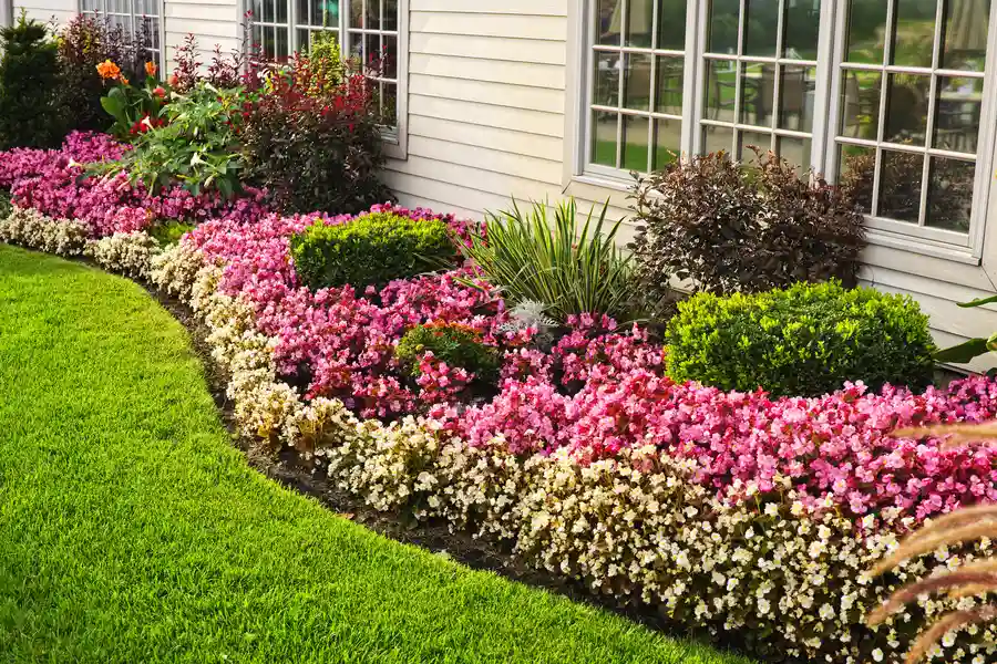 Essential Maintenance Tips For Residential Landscaping in Culpeper, VA