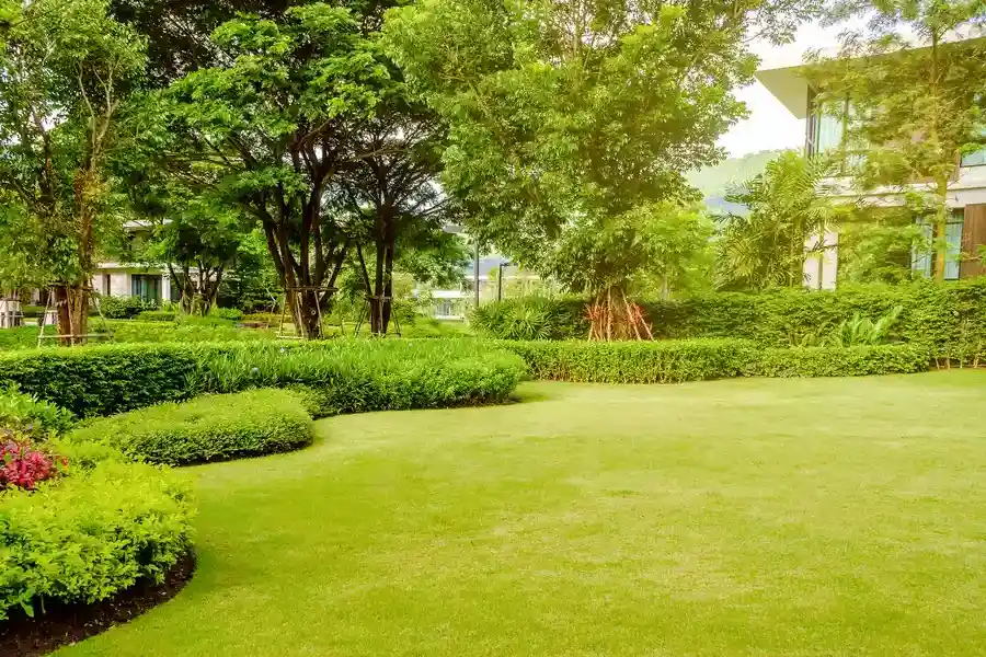 Top-rated Residential Landscaping Culpeper, VA