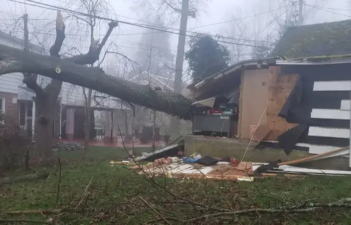 Professional Landscaper in Culpeper, VA