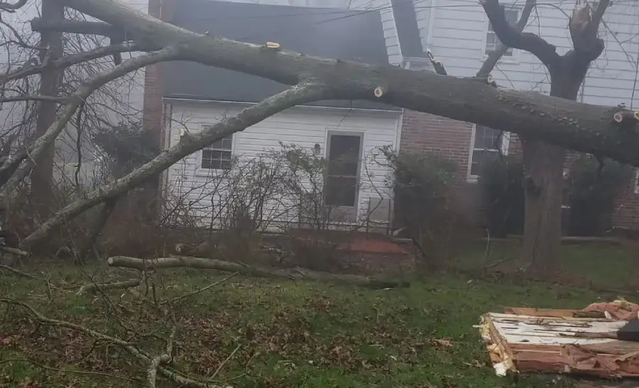 Trusted Landscaping Services